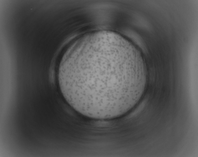 X0000100930827200807081211