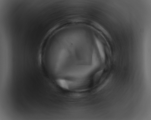 X0000100930829200807081211