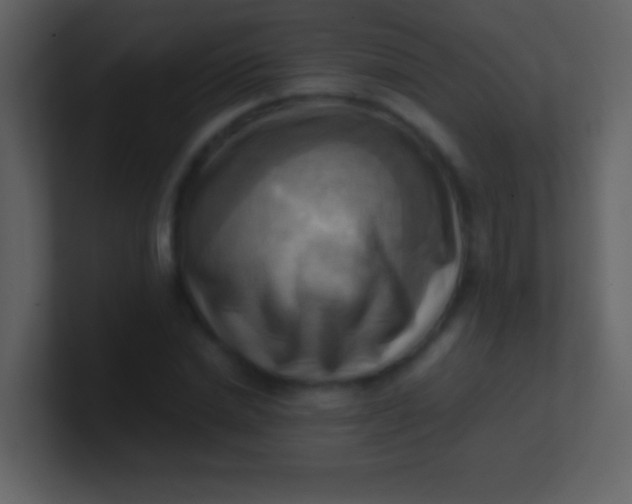 X0000100930830200807081211