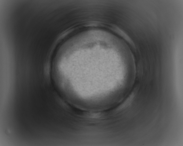 X0000100930831200807081211