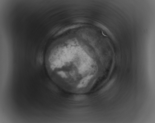 X0000100930833200807081211