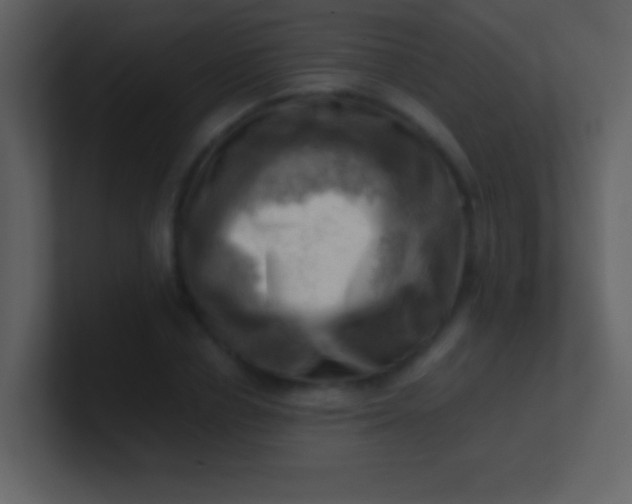 X0000100930834200807081211