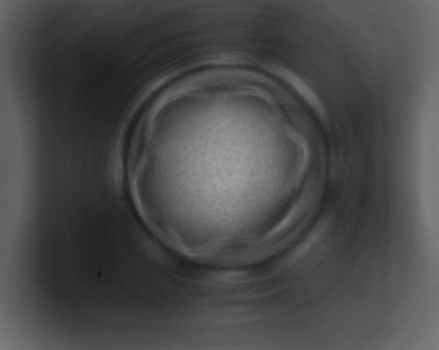 X0000100930837200807081211