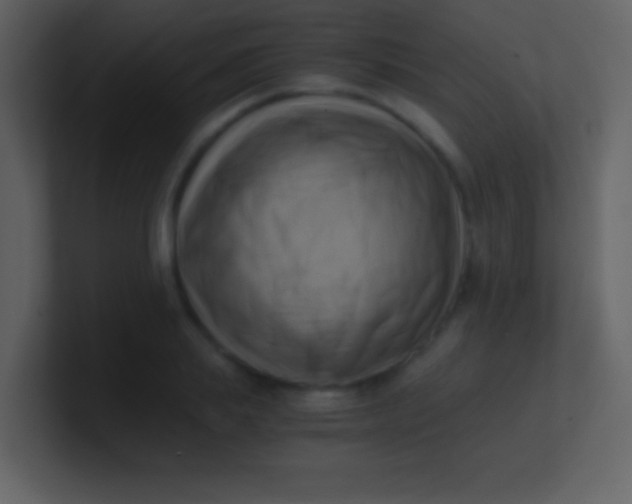 X0000100930839200807081211