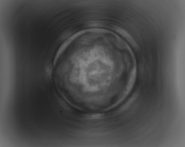 X0000100930841200807081211