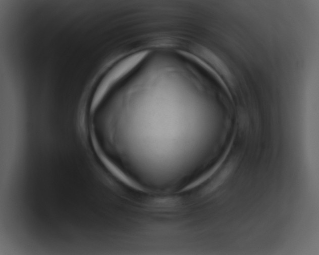 X0000100930843200807081211