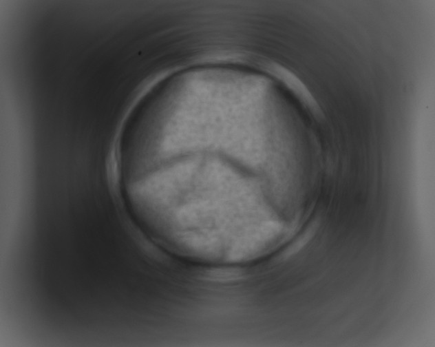 X0000100930844200807081211