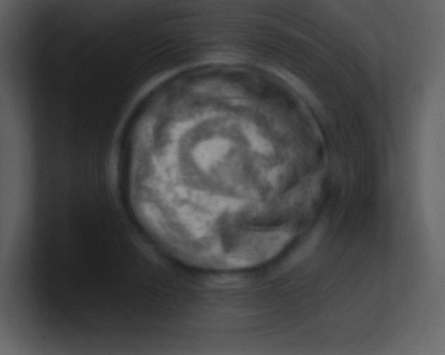 X0000100930846200807081211