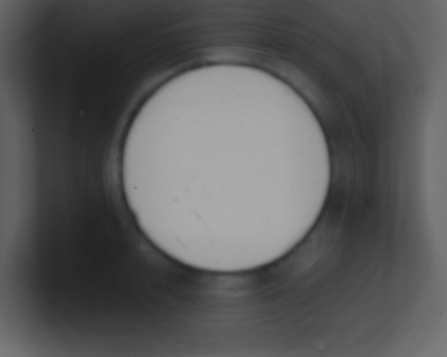 X0000100930848200807081211