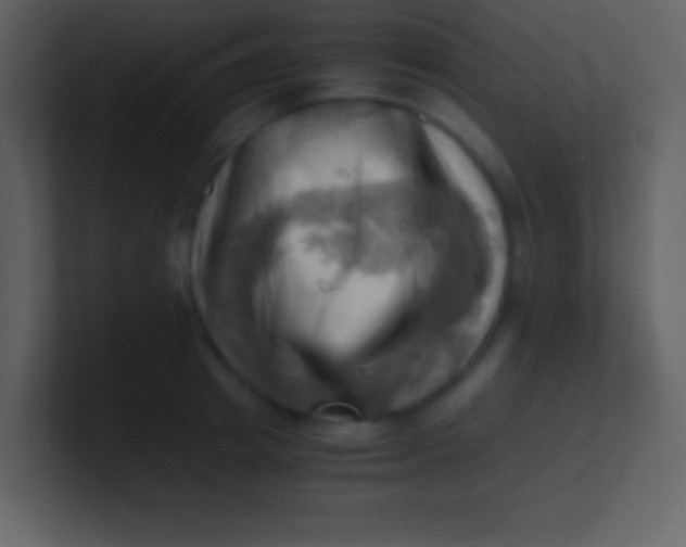 X0000100930849200807081211