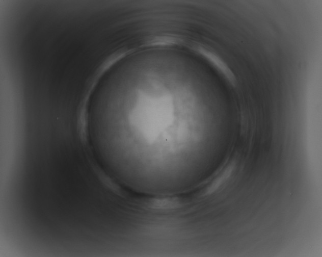 X0000100930850200807081211