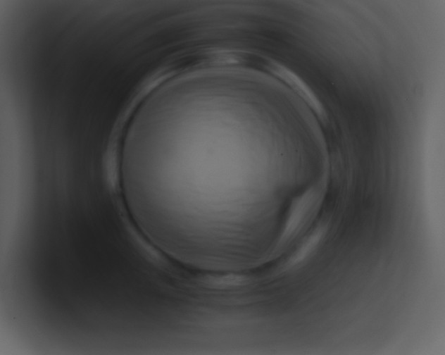 X0000100930851200807081211