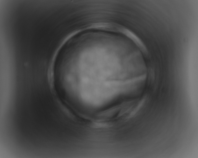 X0000100930852200807081211