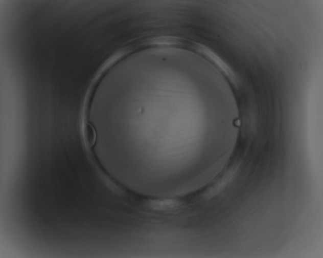 X0000100930853200807081211