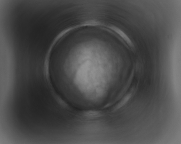 X0000100930854200807081211