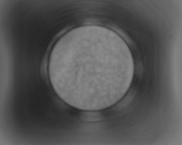 X0000100930856200807081211