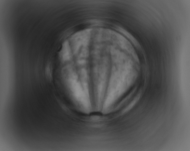 X0000100930857200807081211