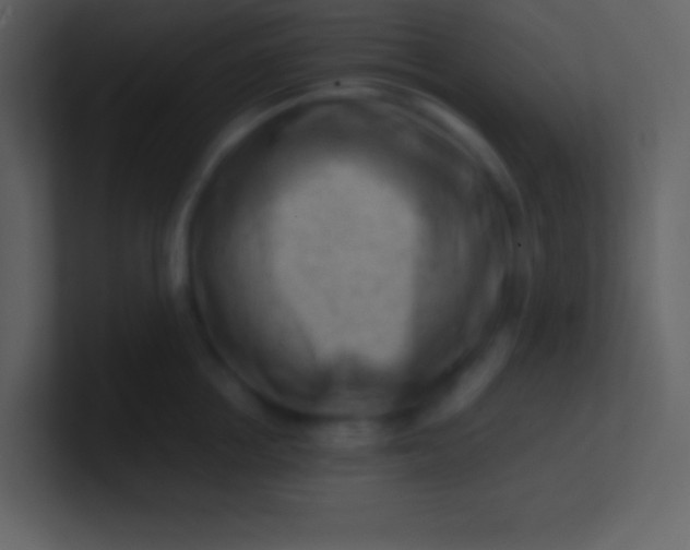 X0000100930858200807081211