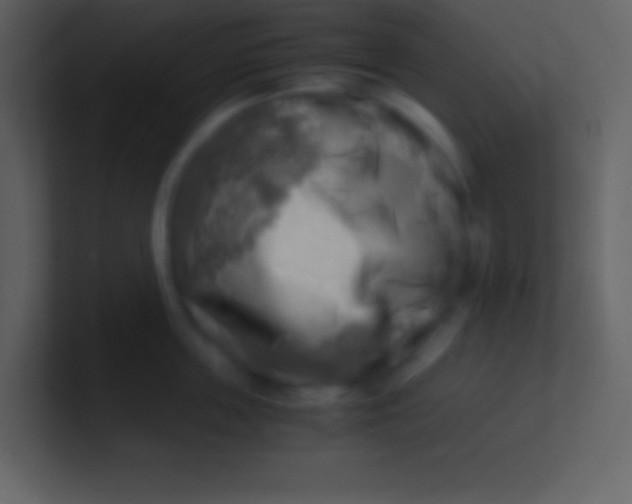 X0000100930859200807081211