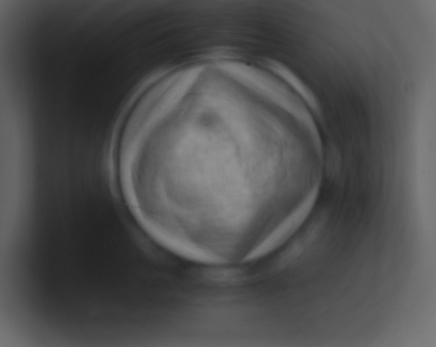 X0000100930861200807081211