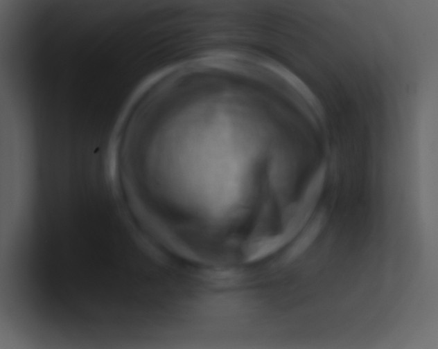 X0000100930862200807081211