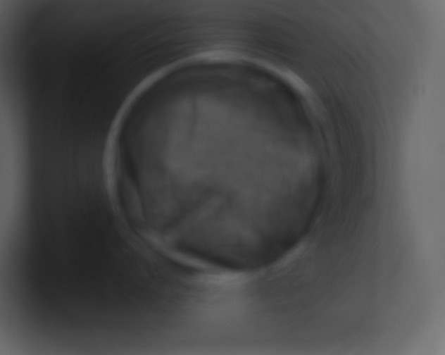 X0000100930864200807081211