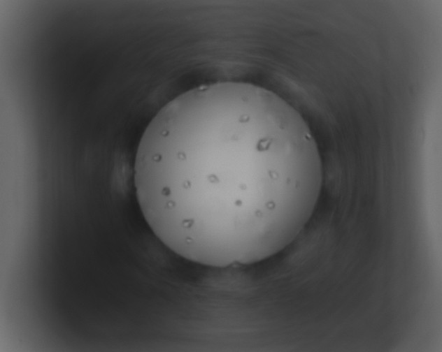 X0000100930866200807081211