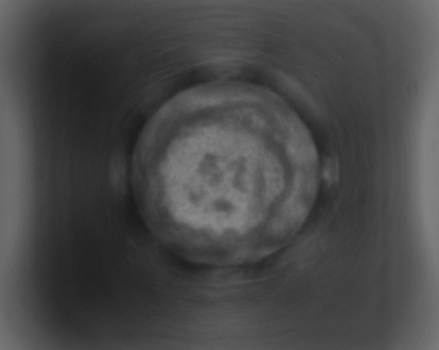 X0000100930867200807081211