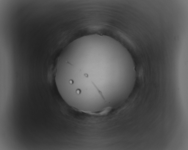 X0000100930868200807081210