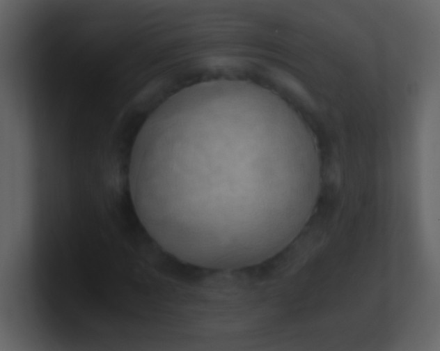 X0000100930869200807081210