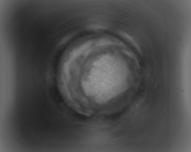 X0000100930871200807081210