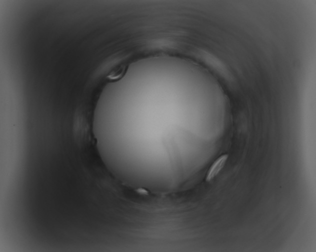 X0000100930872200807081210