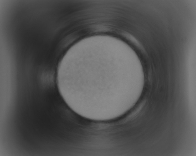 X0000100930873200807081210