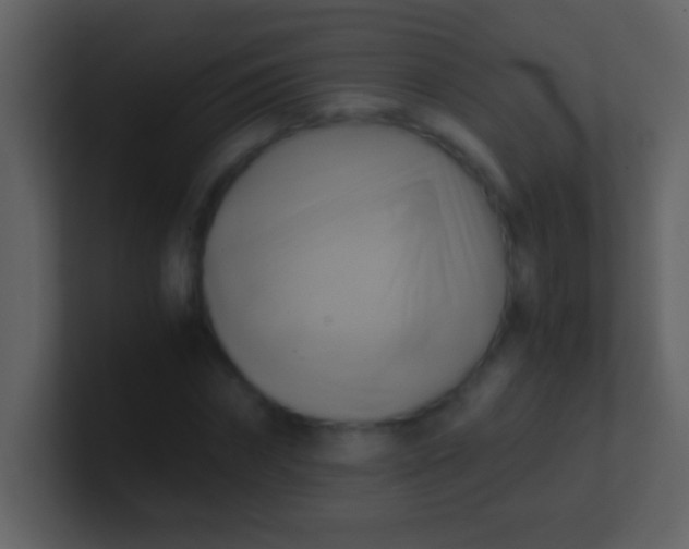 X0000100930874200807081210