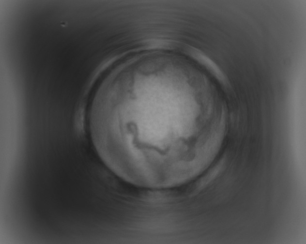 X0000100930875200807081210