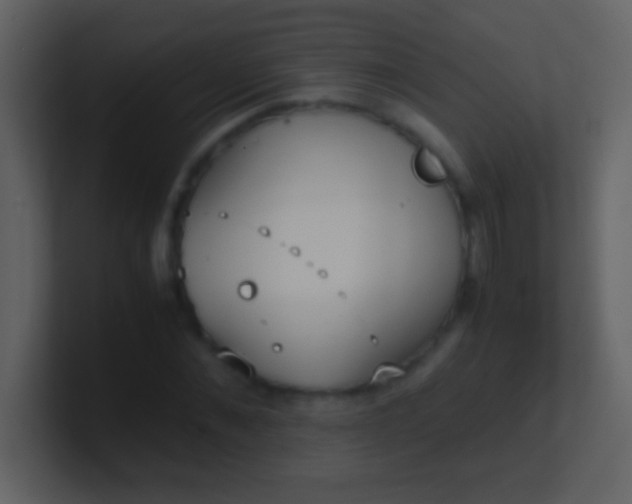 X0000100930876200807081210