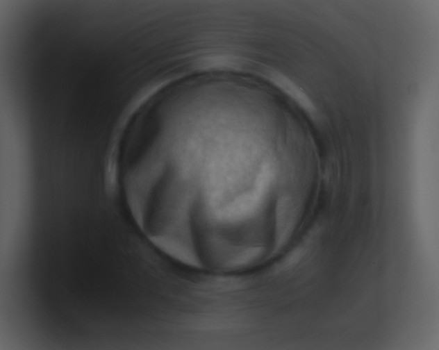 X0000100930877200807081210