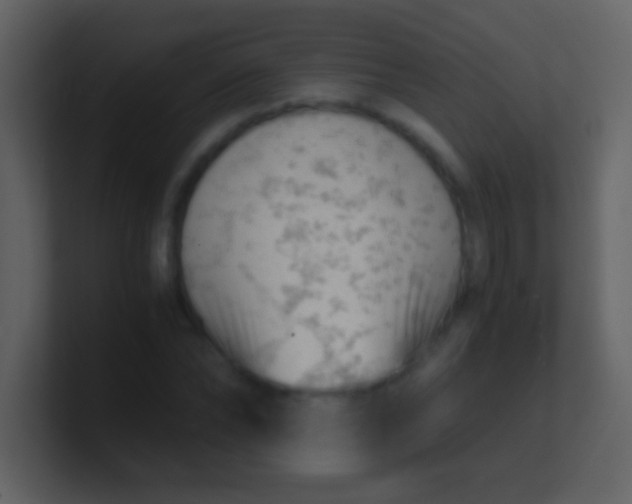 X0000100930878200807081210