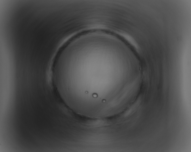 X0000100930879200807081210