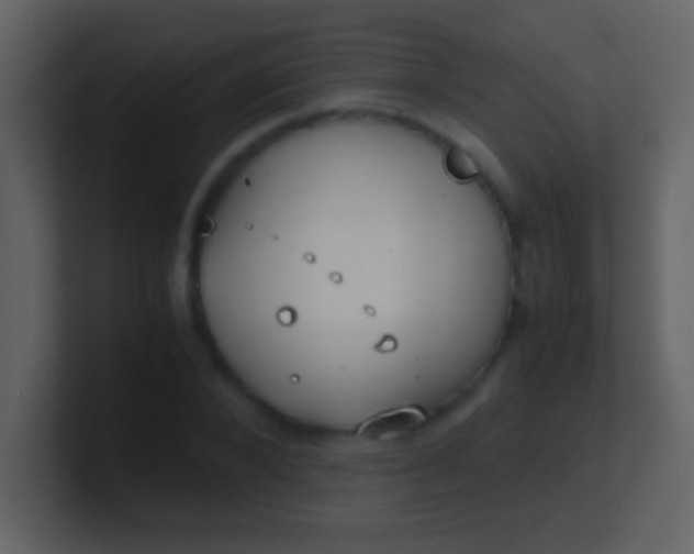 X0000100930880200807081210