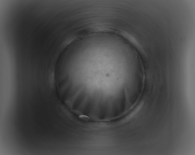 X0000100930881200807081210