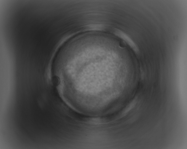 X0000100930883200807081210