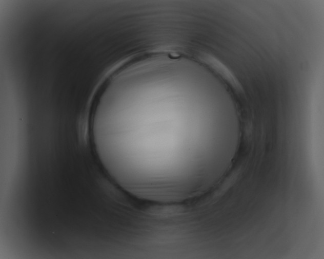 X0000100930884200807081210