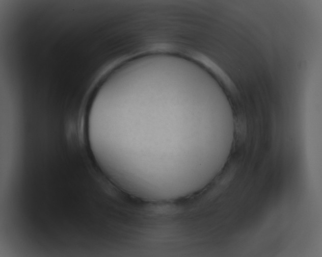 X0000100930886200807081210