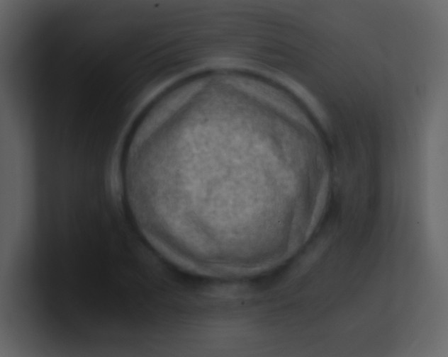 X0000100930887200807081210