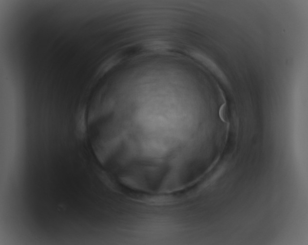 X0000100930889200807081210