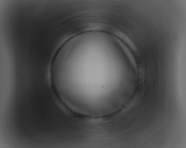 X0000100930890200807081210