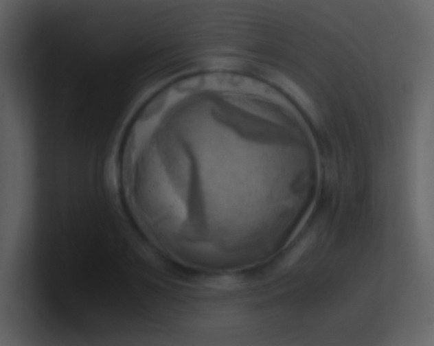 X0000100930891200807081210