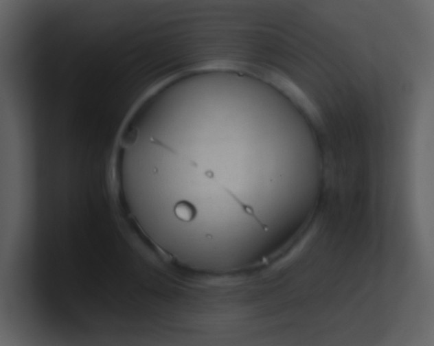 X0000100930892200807081210