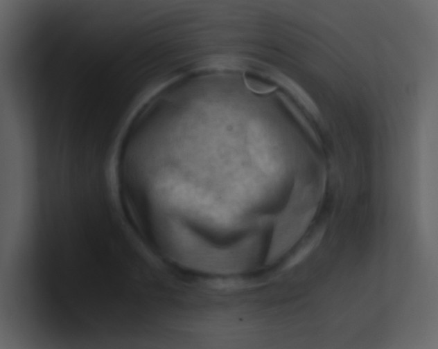 X0000100930893200807081210